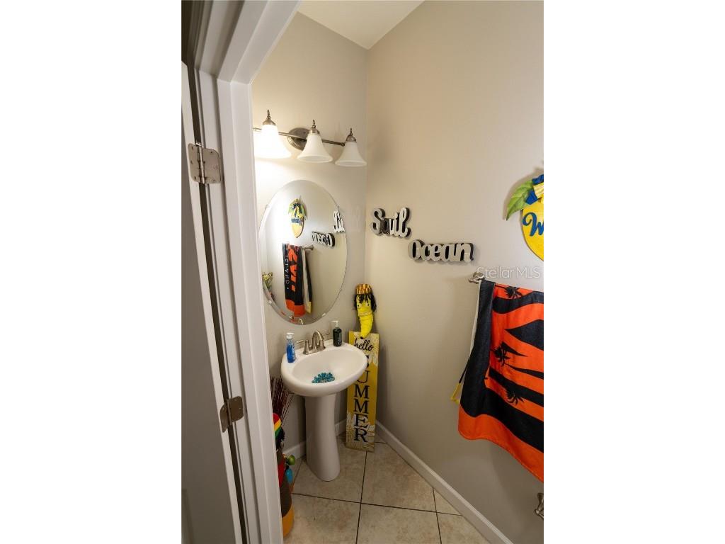 17371 Old Tobacco Road Lutz FL 33558 TB8437903 image39