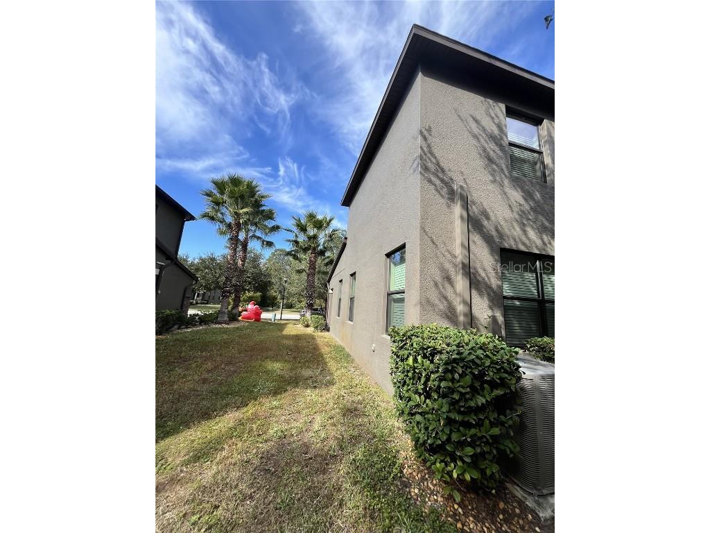 17371 Old Tobacco Road Lutz FL 33558 TB8437903 image45