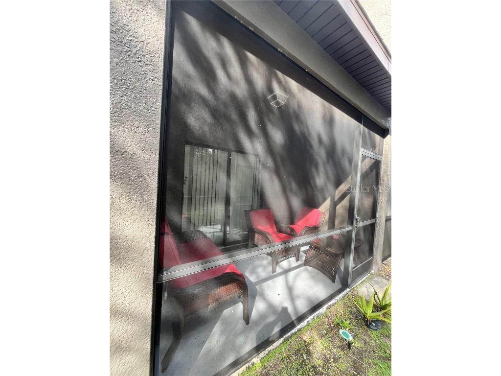 17371 Old Tobacco Road Lutz FL 33558 TB8437903 image47