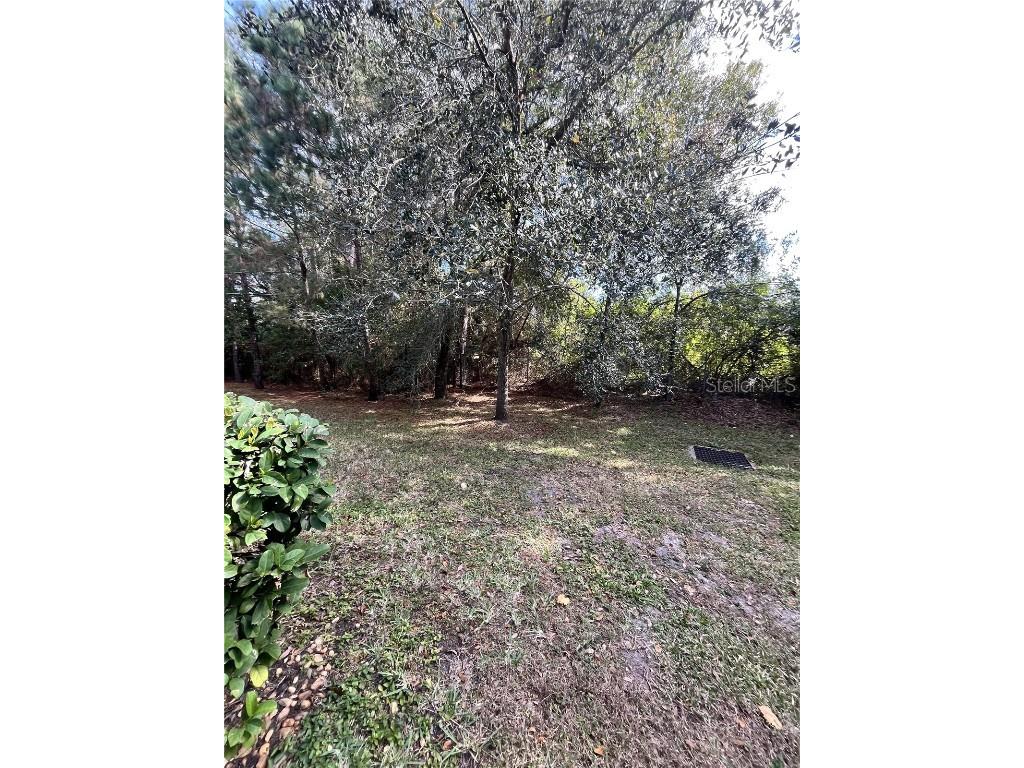 17371 Old Tobacco Road Lutz FL 33558 TB8437903 image48