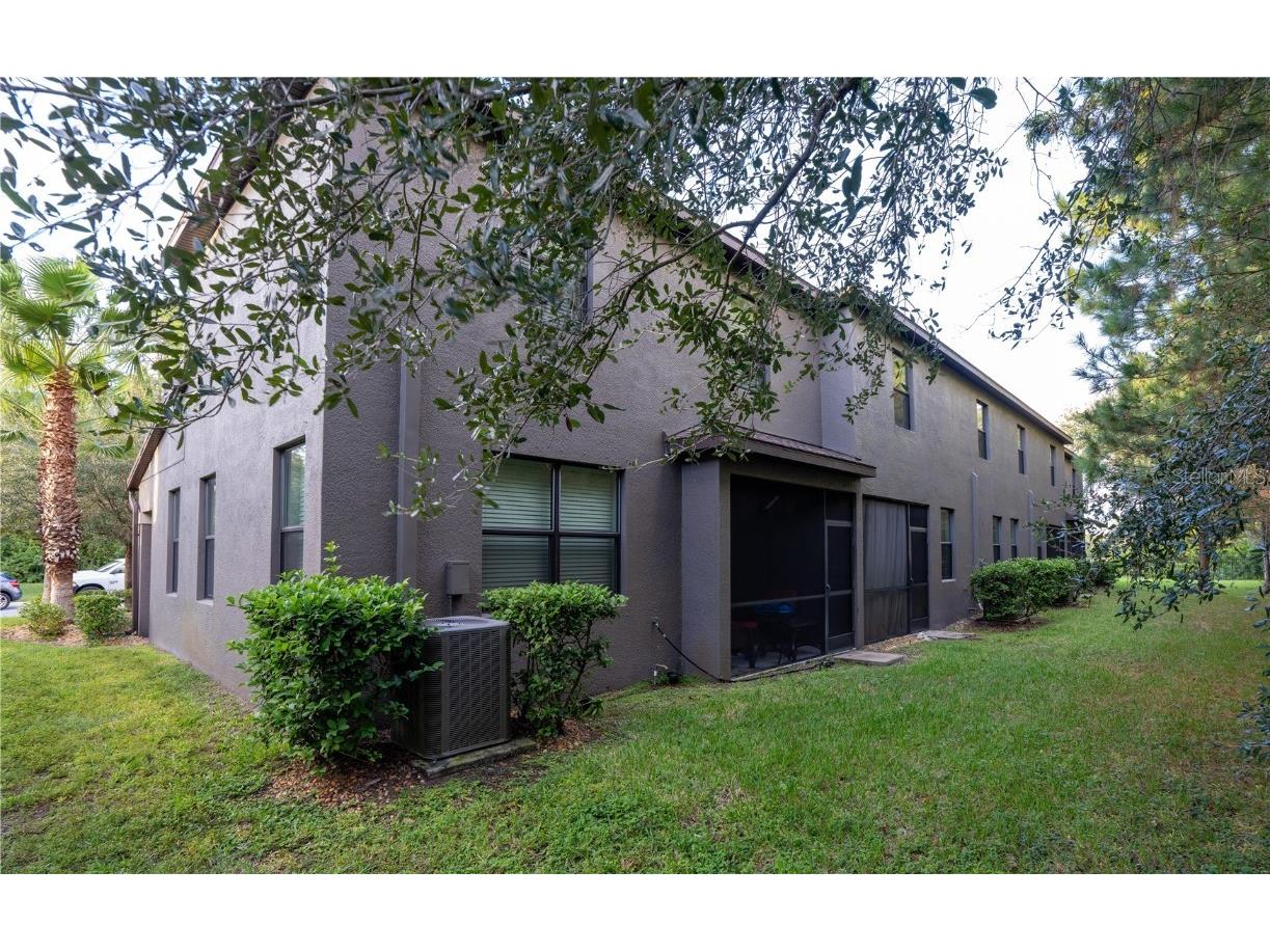 17371 Old Tobacco Road Lutz FL 33558 TB8437903 image5