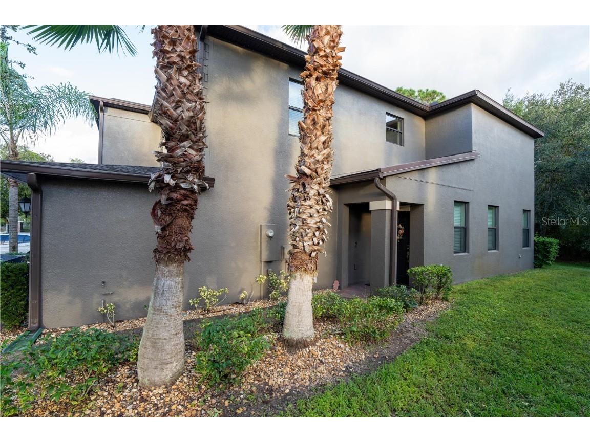 17371 Old Tobacco Road Lutz FL 33558 TB8437903 image7