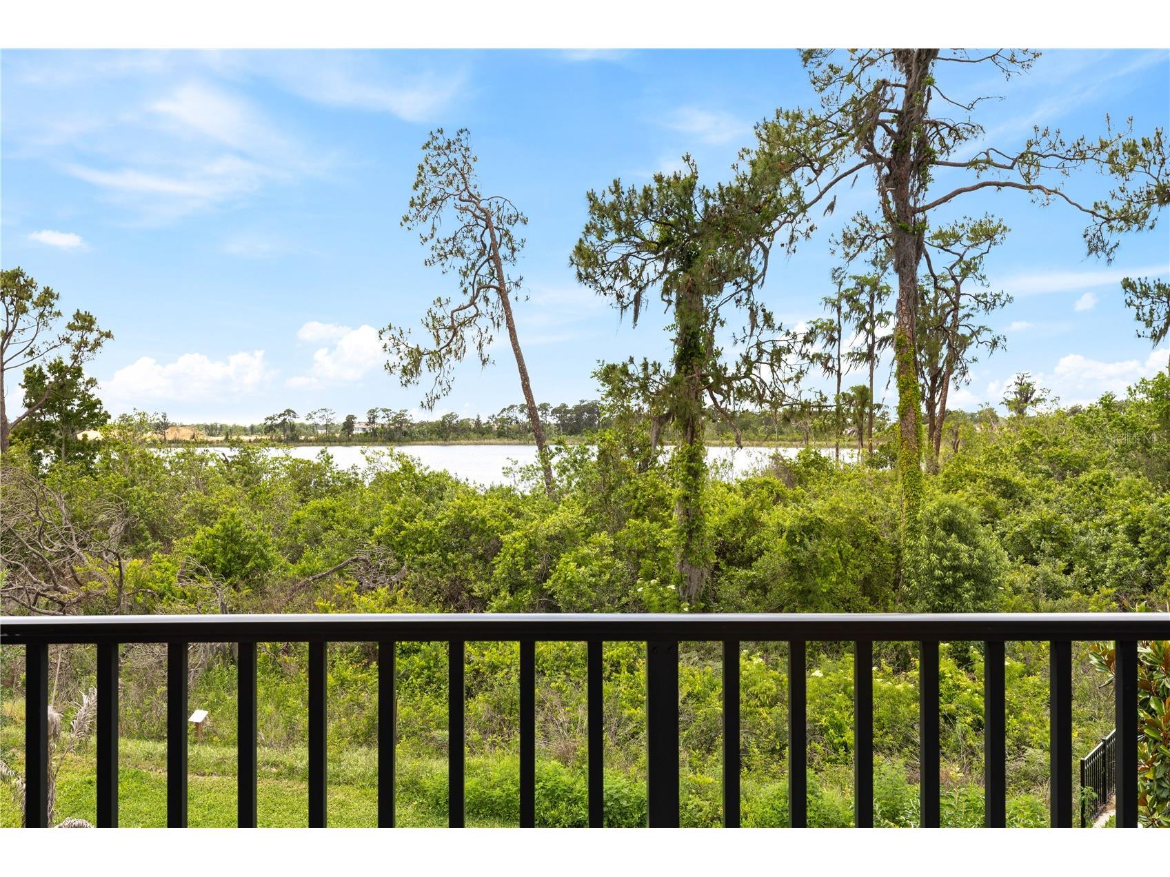17372 Glossy Pomelo Way Winter Garden FL 34787 O6406639 image67
