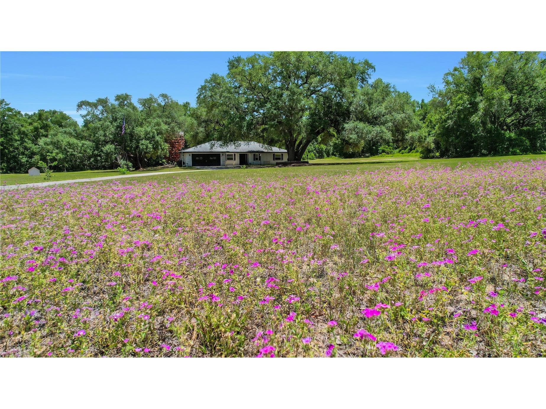 17373 SE 130th Avenue Weirsdale FL 32195 G5112110 image47
