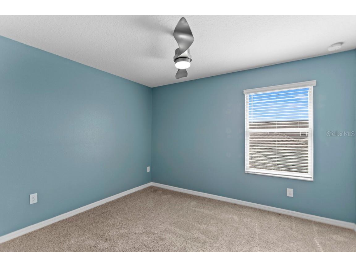 17378 Cruiser Bend Land O Lakes FL 34638 TB8431355 image25