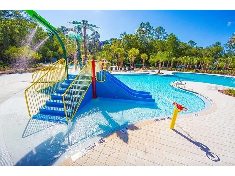 17378 Cruiser Bend Land O Lakes FL 34638 TB8431355 image35