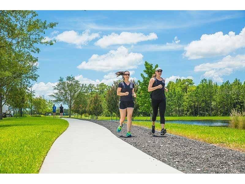 17378 Cruiser Bend Land O Lakes FL 34638 TB8431355 image38