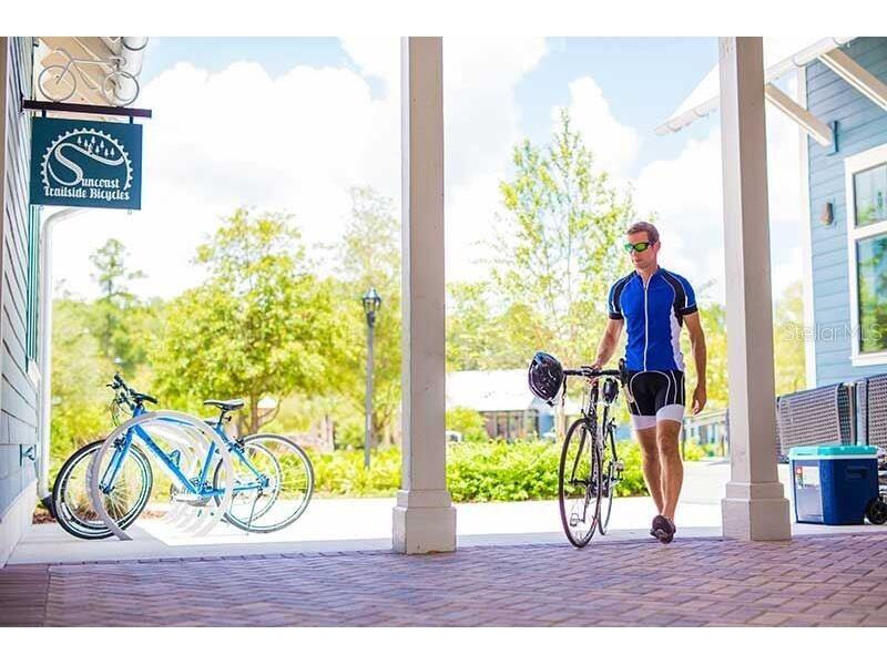 17378 Cruiser Bend Land O Lakes FL 34638 TB8431355 image40