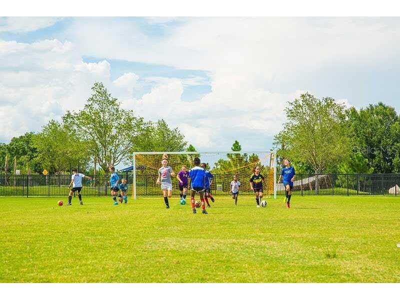 17378 Cruiser Bend Land O Lakes FL 34638 TB8431355 image44