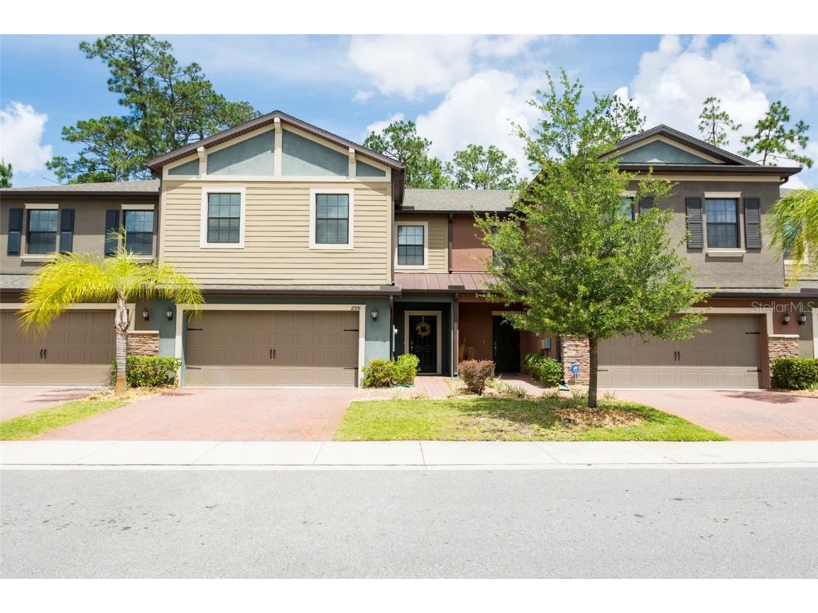 17378 Old Tobacco Road Lutz FL 33558 T3545163 image1