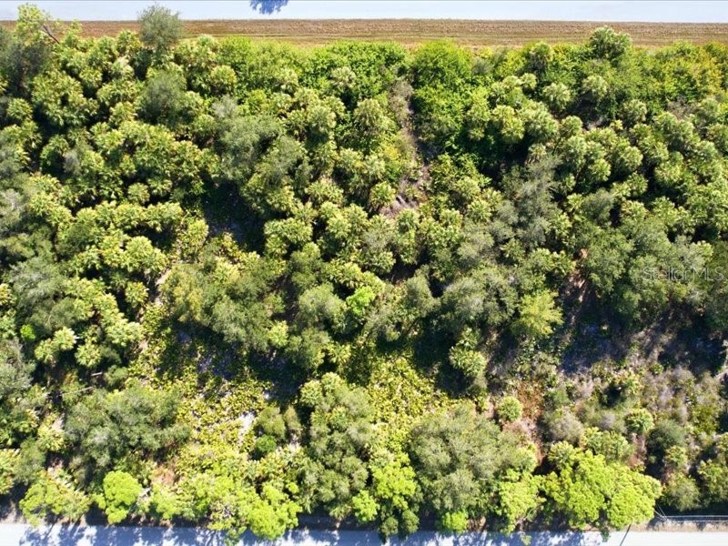 17378 Quincy Avenue Port Charlotte FL 33948 TB8468577 image10