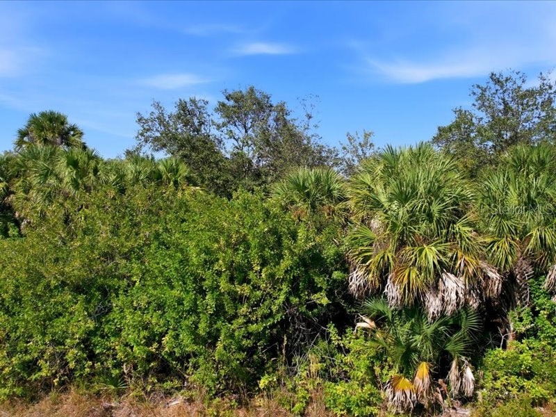 17378 Quincy Avenue Port Charlotte FL 33948 TB8468577 image12