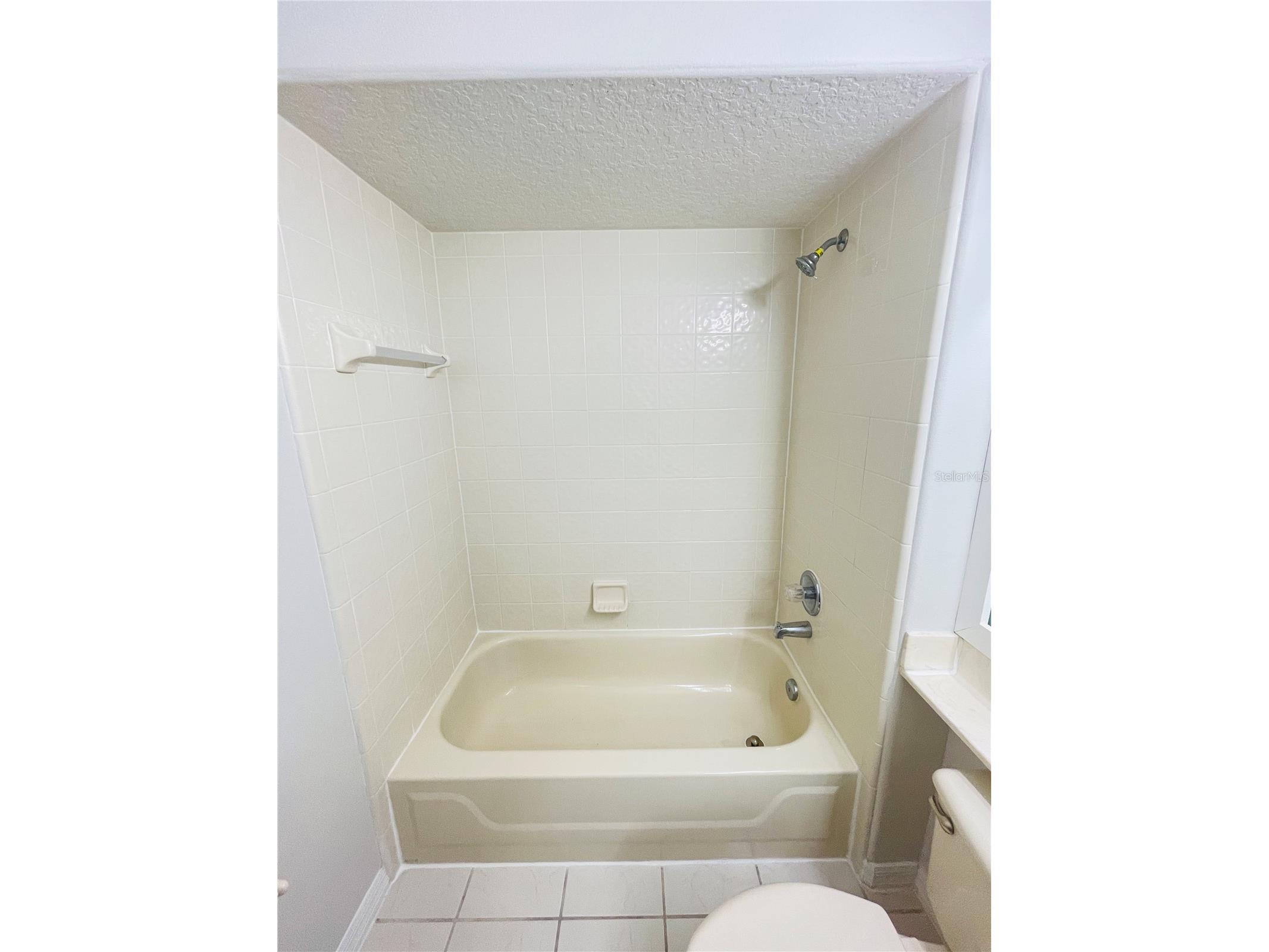 1738 Golfview Drive Kissimmee FL 34746 O6414816 image22