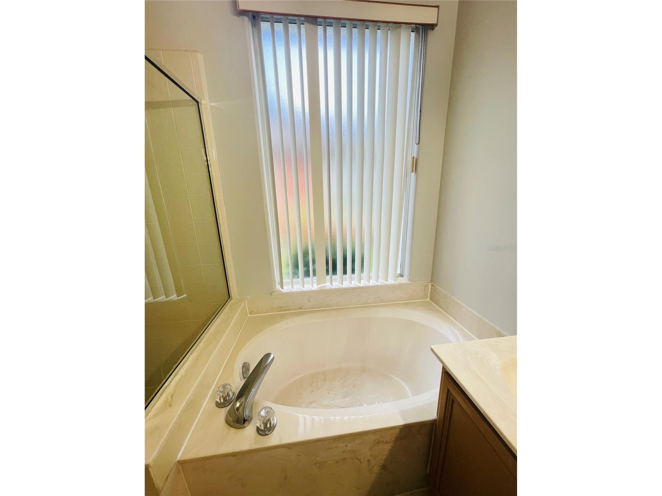 1738 Golfview Drive Kissimmee FL 34746 O6414816 image25