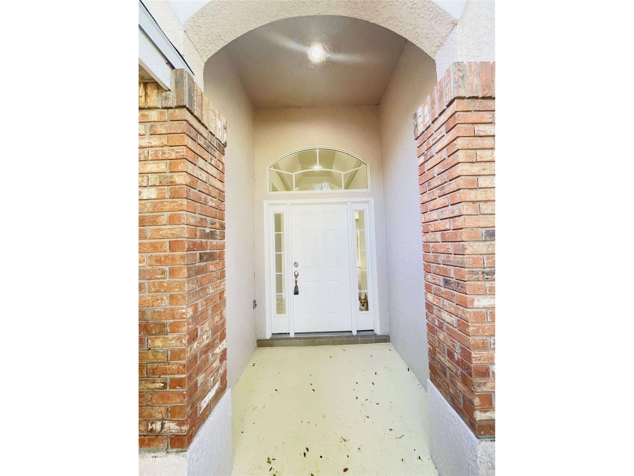 1738 Golfview Drive Kissimmee FL 34746 O6414816 image3