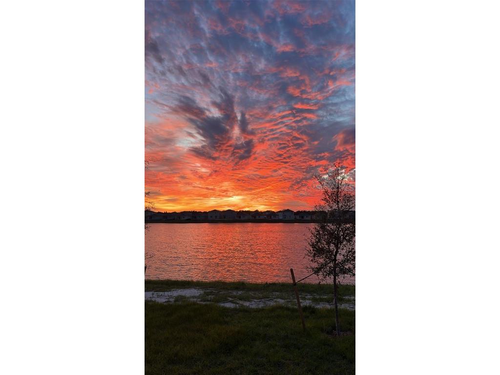 1738 Walnut Creek Drive Kissimmee FL 34744 S5137860 image18