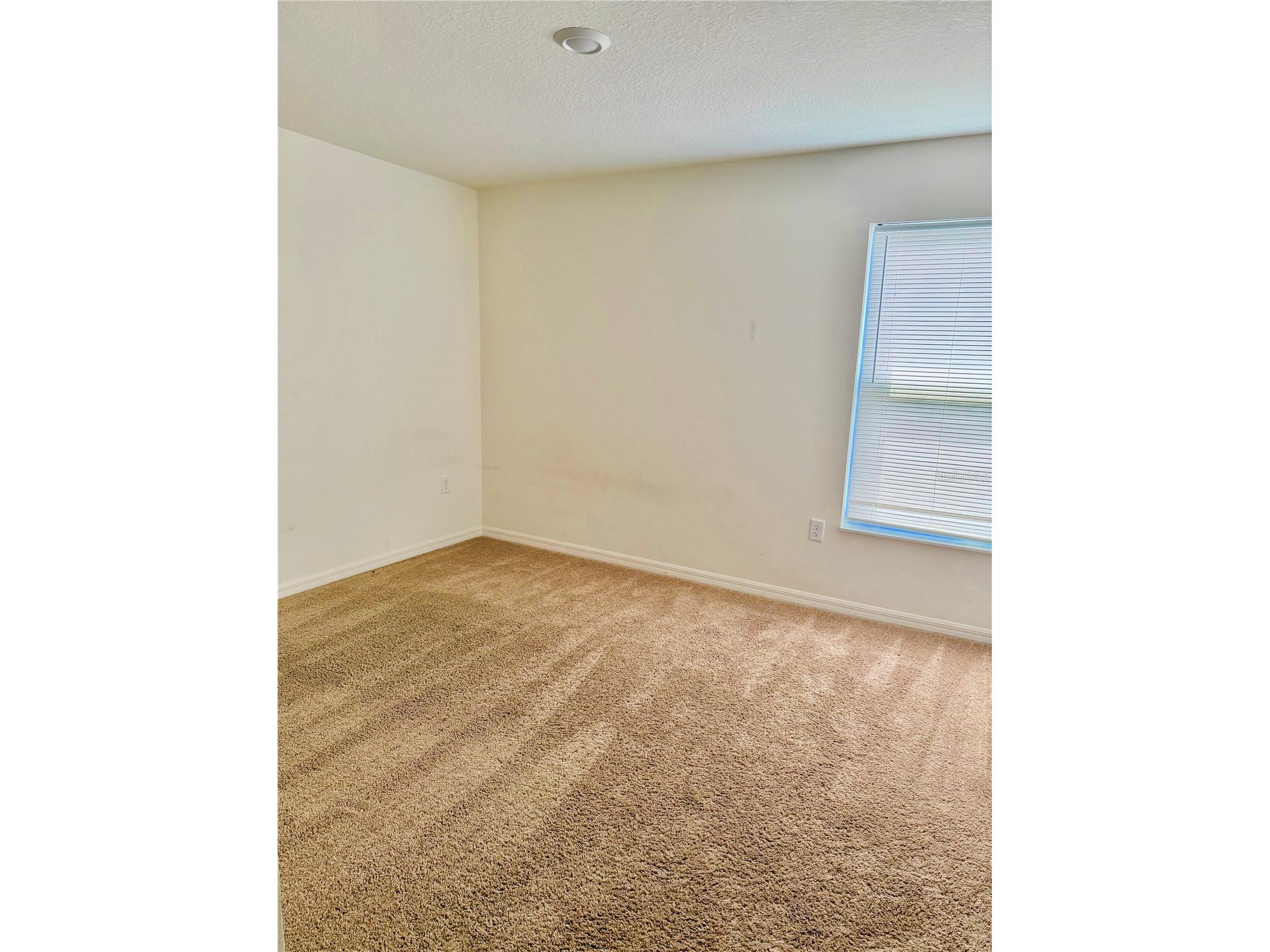 1738 Wynford Circle Tavares FL 32778 O6410755 image18
