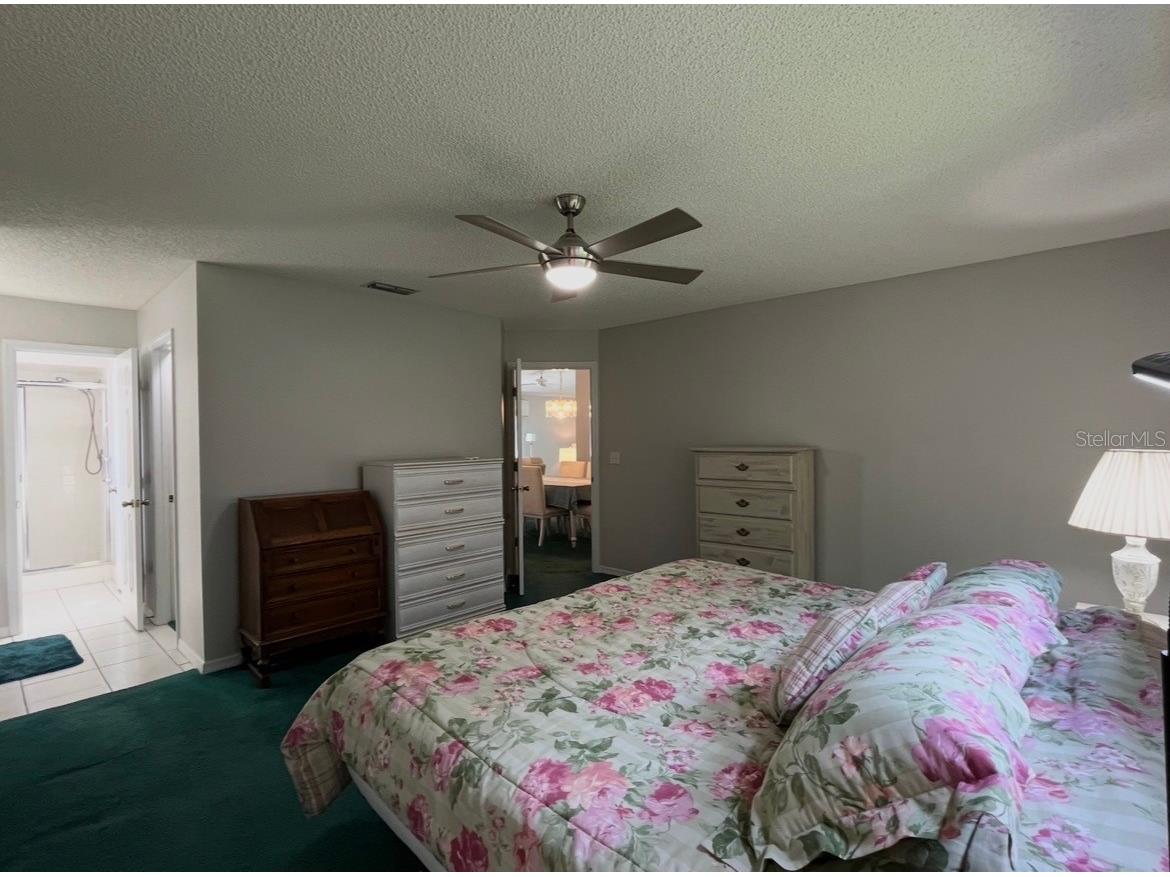 17380 SE 98th Circle Summerfield FL 34491 G5112556 image19