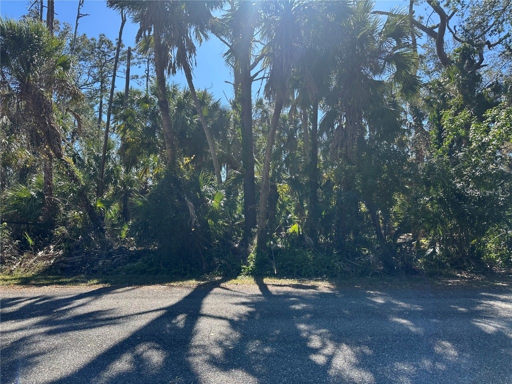 17381 Stanley Avenue Port Charlotte FL 33954 C7504522 image1