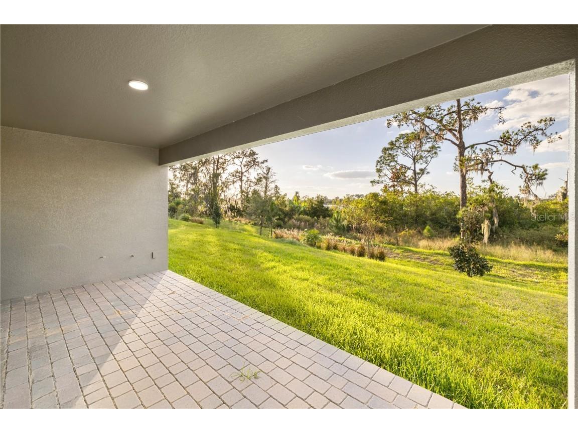 17384 Glossy Pomelo Way Winter Garden FL 34787 O6358512 image11