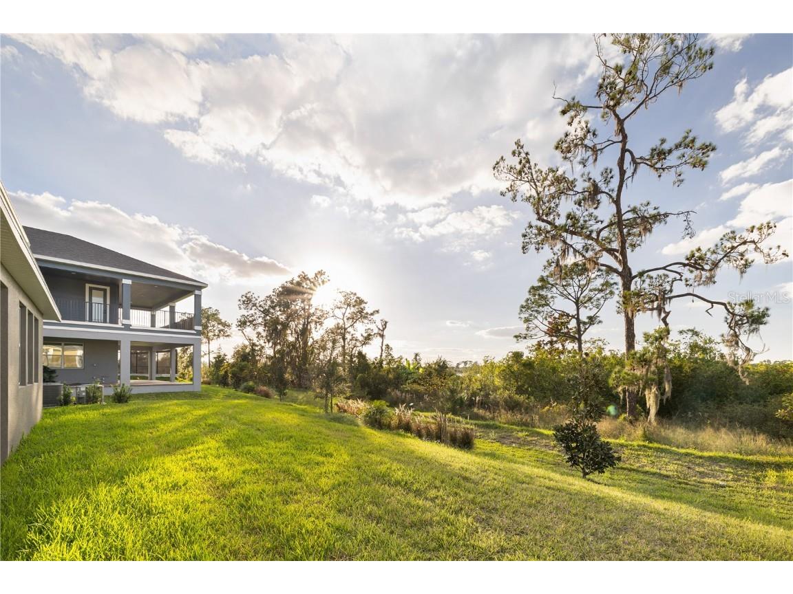 17384 Glossy Pomelo Way Winter Garden FL 34787 O6358512 image13