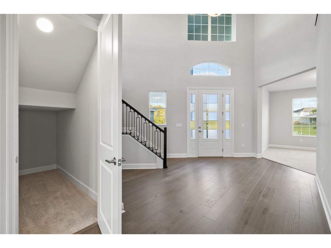 17384 Glossy Pomelo Way Winter Garden FL 34787 O6358512 image21