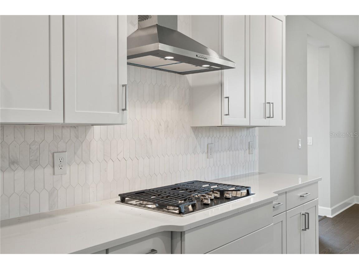 17384 Glossy Pomelo Way Winter Garden FL 34787 O6358512 image30