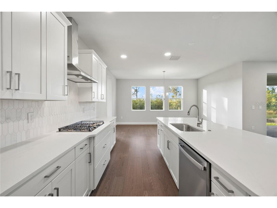 17384 Glossy Pomelo Way Winter Garden FL 34787 O6358512 image31