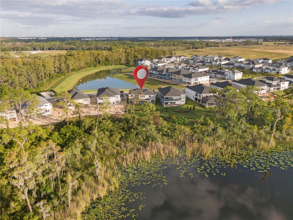 17384 Glossy Pomelo Way Winter Garden FL 34787 O6358512 image4