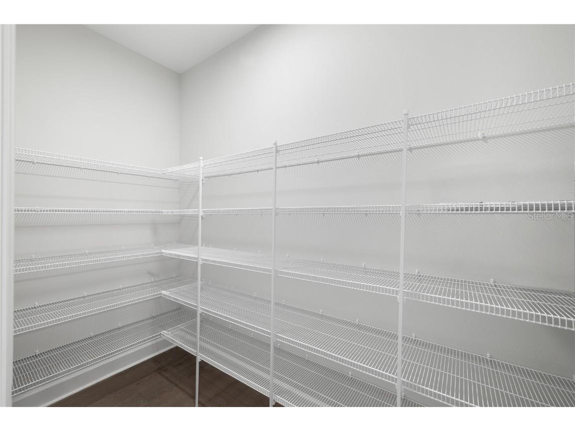 17384 Glossy Pomelo Way Winter Garden FL 34787 O6358512 image41