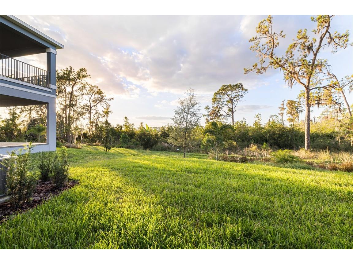 17384 Glossy Pomelo Way Winter Garden FL 34787 O6358512 image43