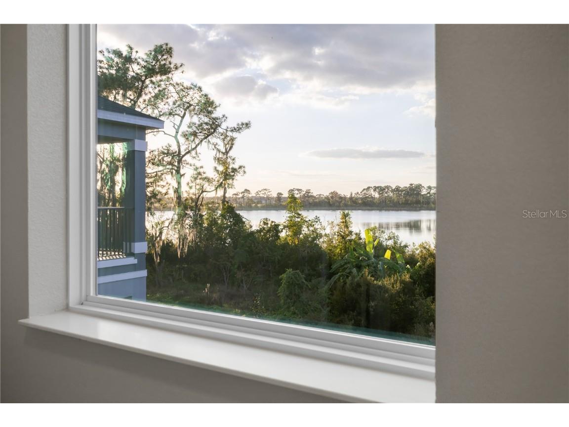 17384 Glossy Pomelo Way Winter Garden FL 34787 O6358512 image63