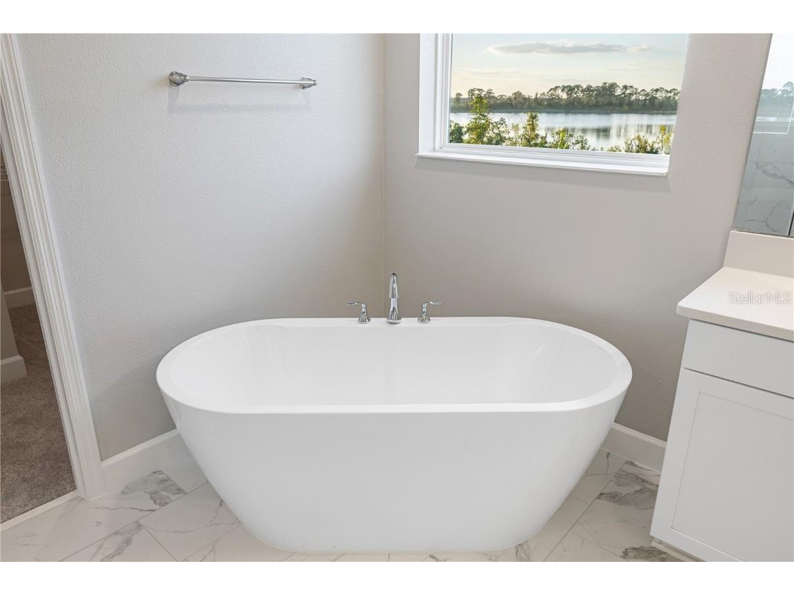 17384 Glossy Pomelo Way Winter Garden FL 34787 O6358512 image67