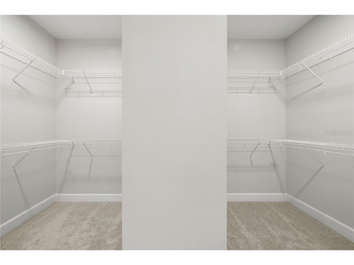 17384 Glossy Pomelo Way Winter Garden FL 34787 O6358512 image69