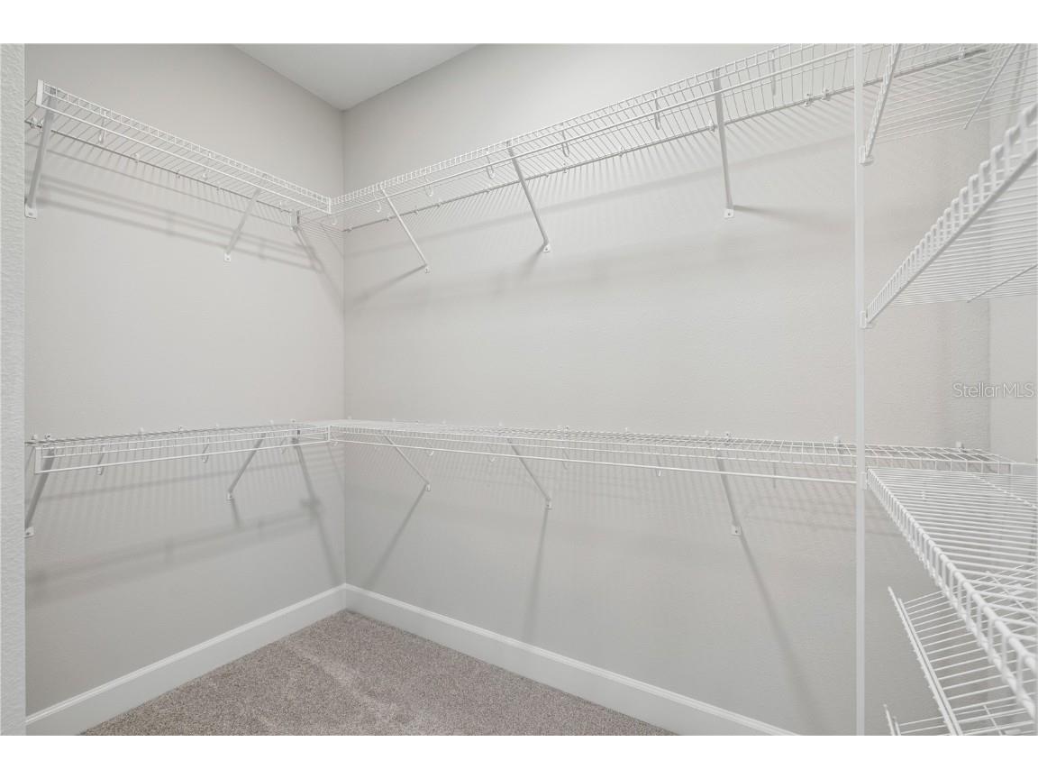 17384 Glossy Pomelo Way Winter Garden FL 34787 O6358512 image70