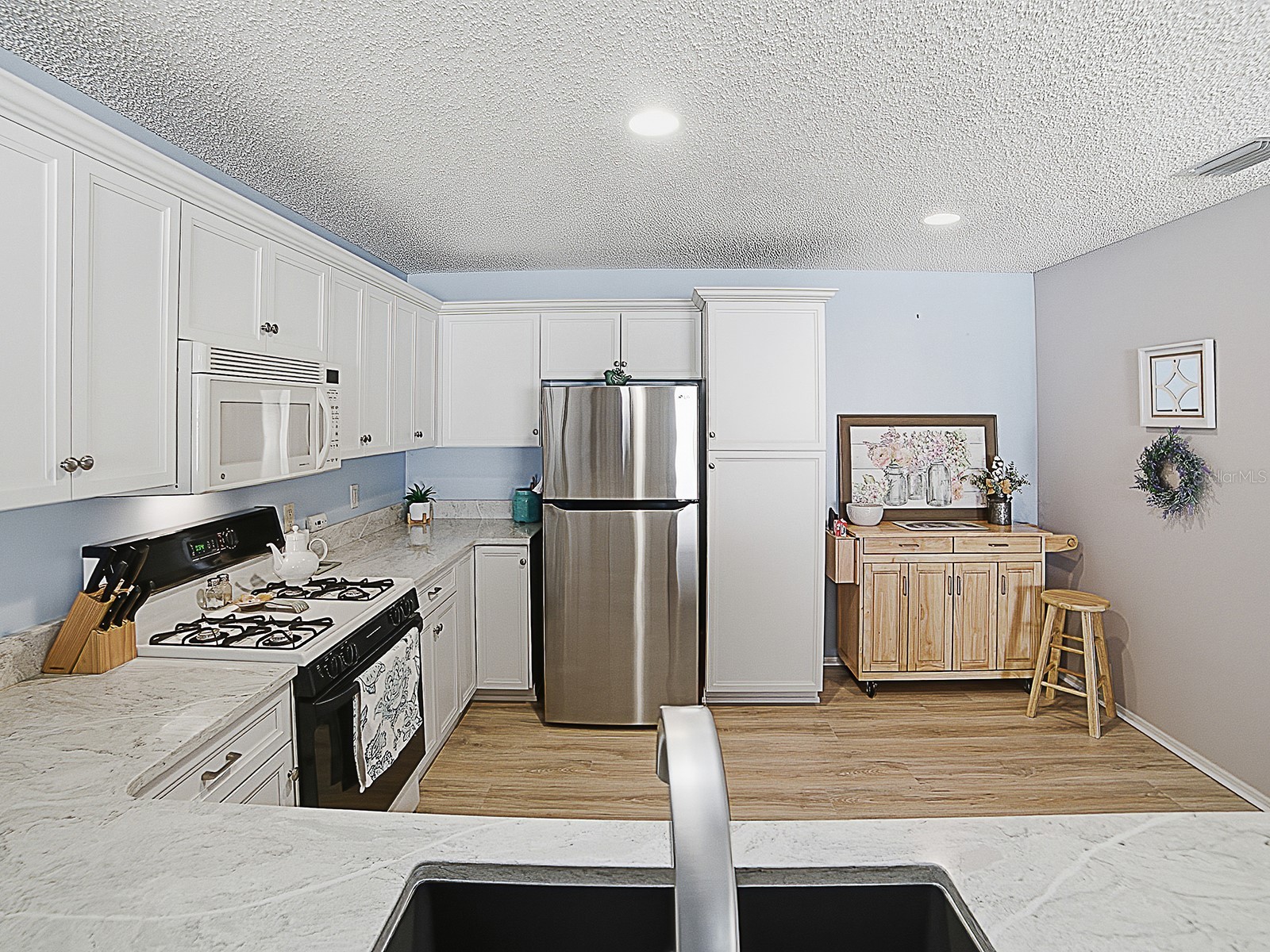 17385 SE 78th Draughton Court The Villages FL 32162 G5109751 image19