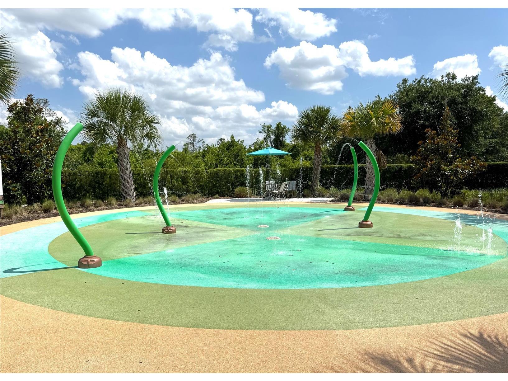 17386 Saw Palmetto Avenue Clermont FL 34714 O6406701 image44