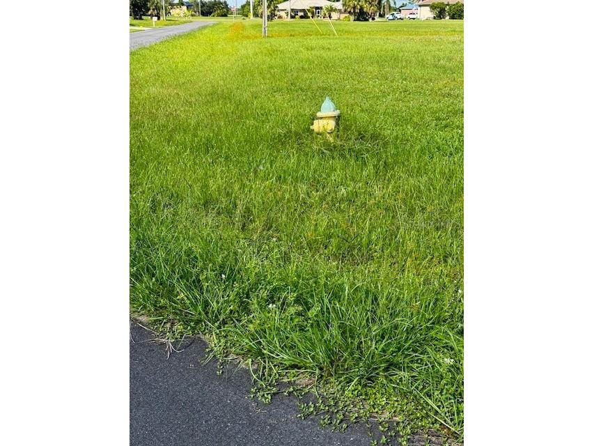 17388 Isaac Lane Punta Gorda FL 33955 O6333941 image5