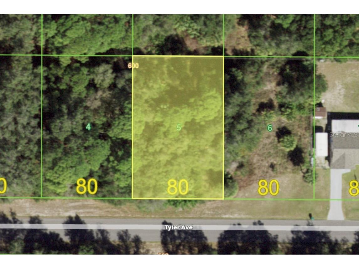 17388 Tyler Avenue Port Charlotte FL 33948 C7506604 image1