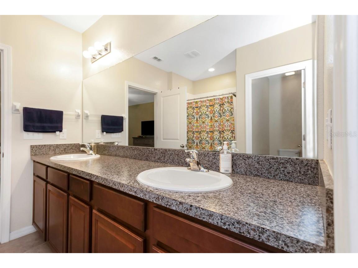 1739 Broad Winged Hawk Drive Ruskin FL 33570 OM700808 image25