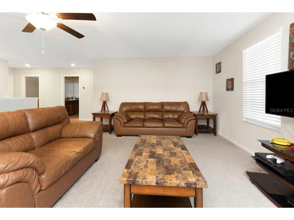 1739 Broad Winged Hawk Drive Ruskin FL 33570 OM700808 image32