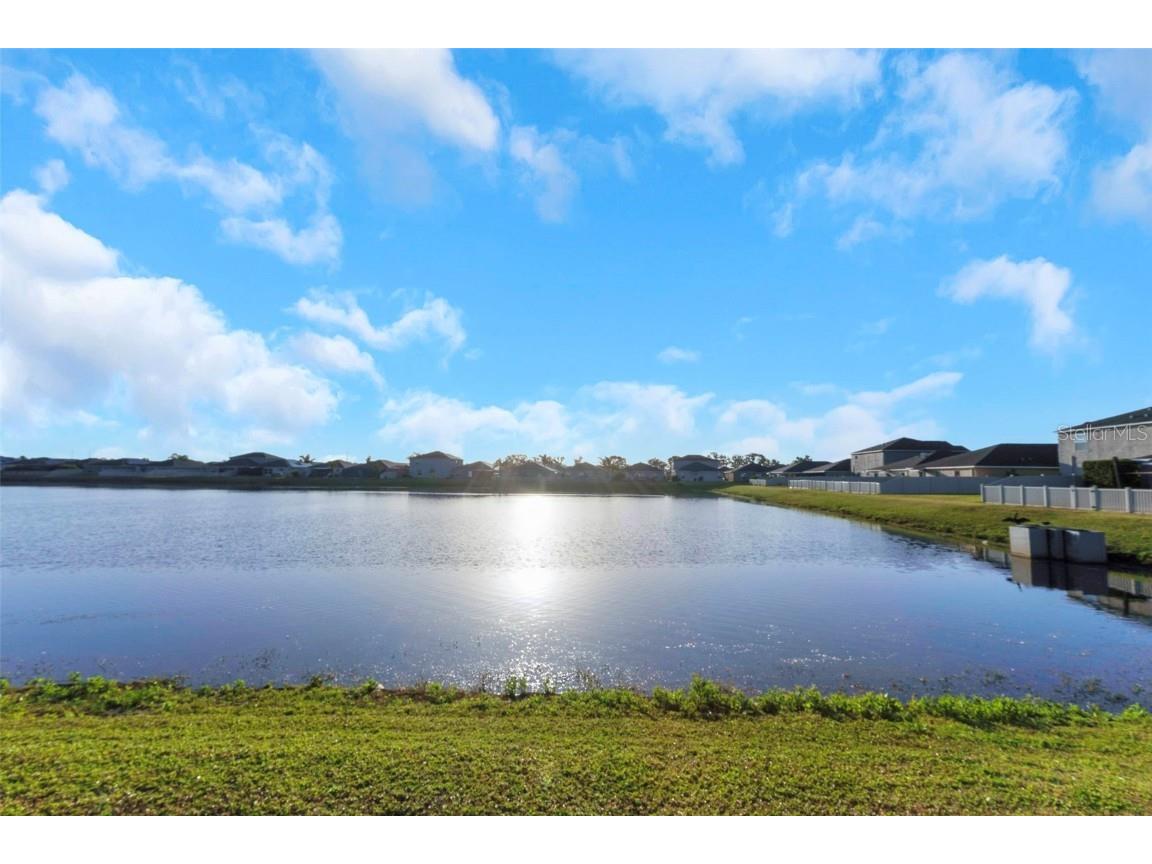 1739 Broad Winged Hawk Drive Ruskin FL 33570 OM700808 image64