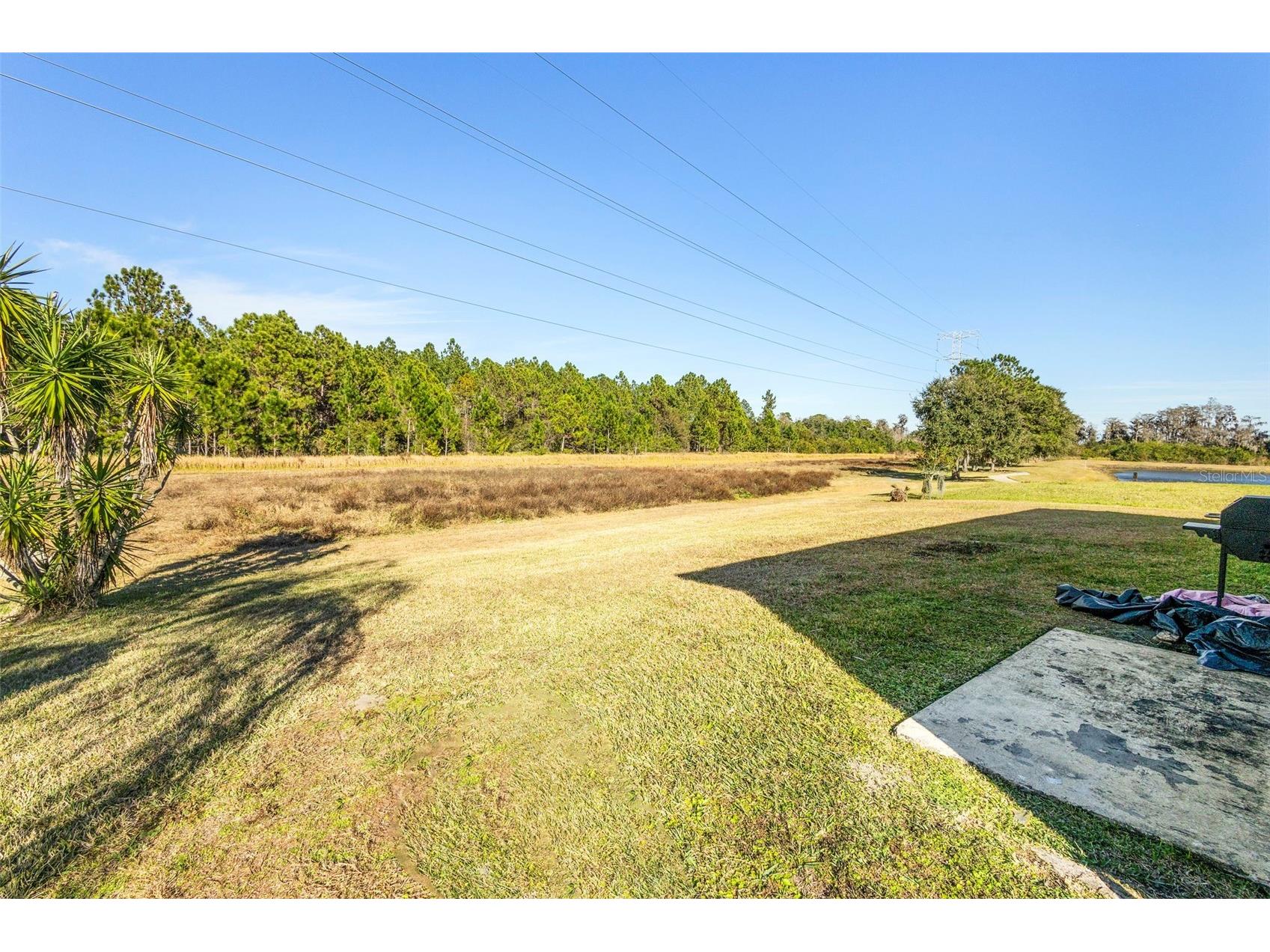 1739 Canoe Creek Falls Drive Orlando FL 32824 O6375975 image28