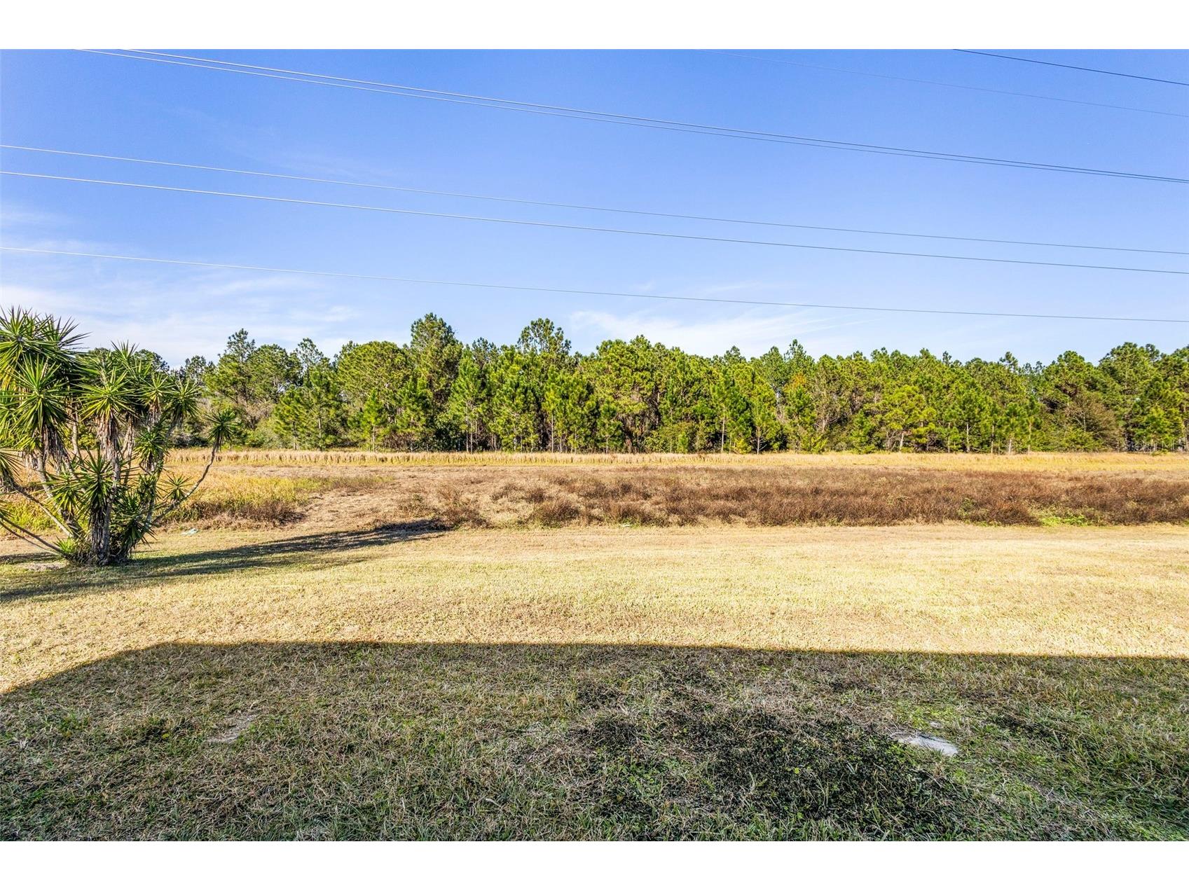 1739 Canoe Creek Falls Drive Orlando FL 32824 O6375975 image29