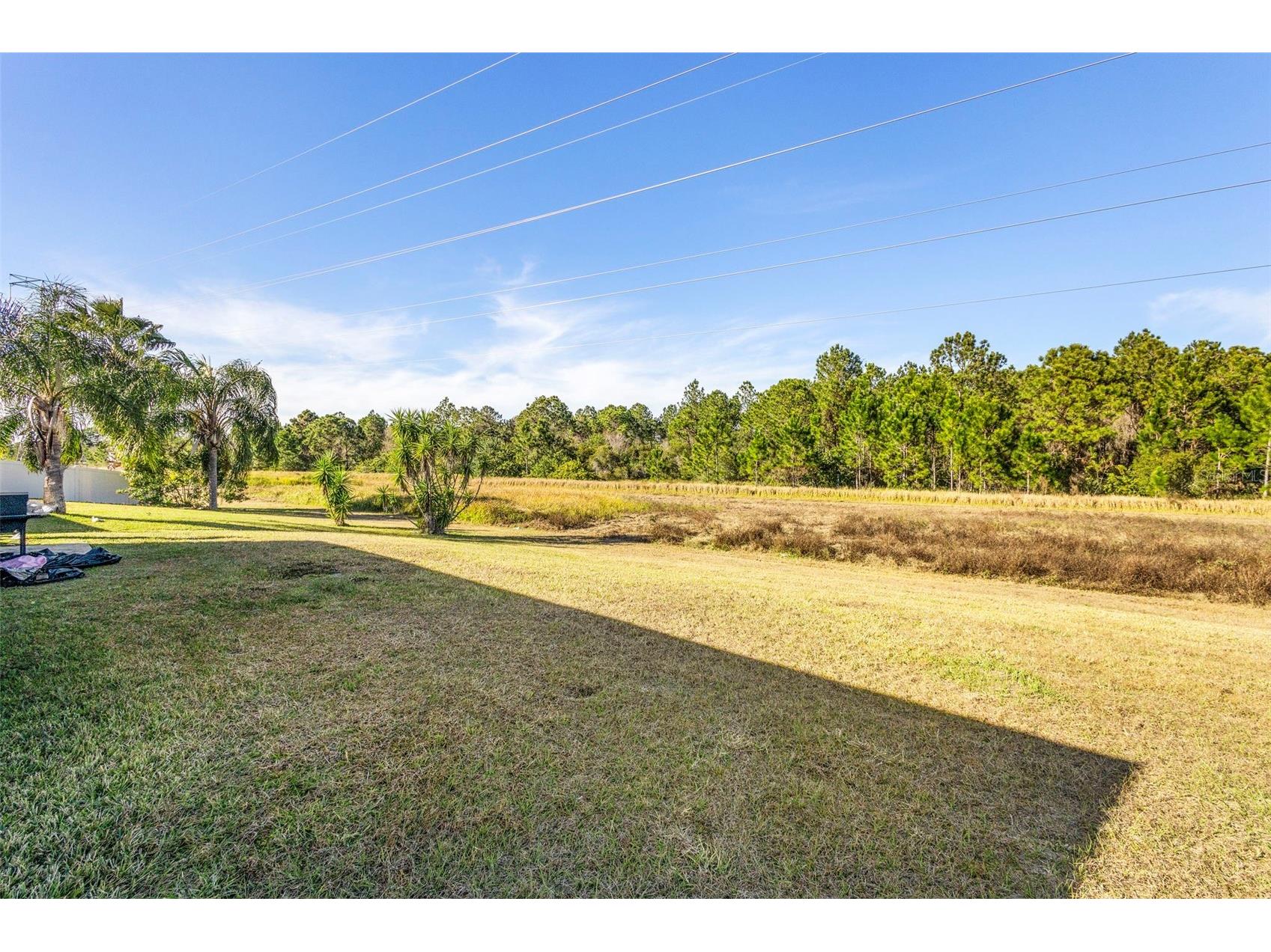 1739 Canoe Creek Falls Drive Orlando FL 32824 O6375975 image30