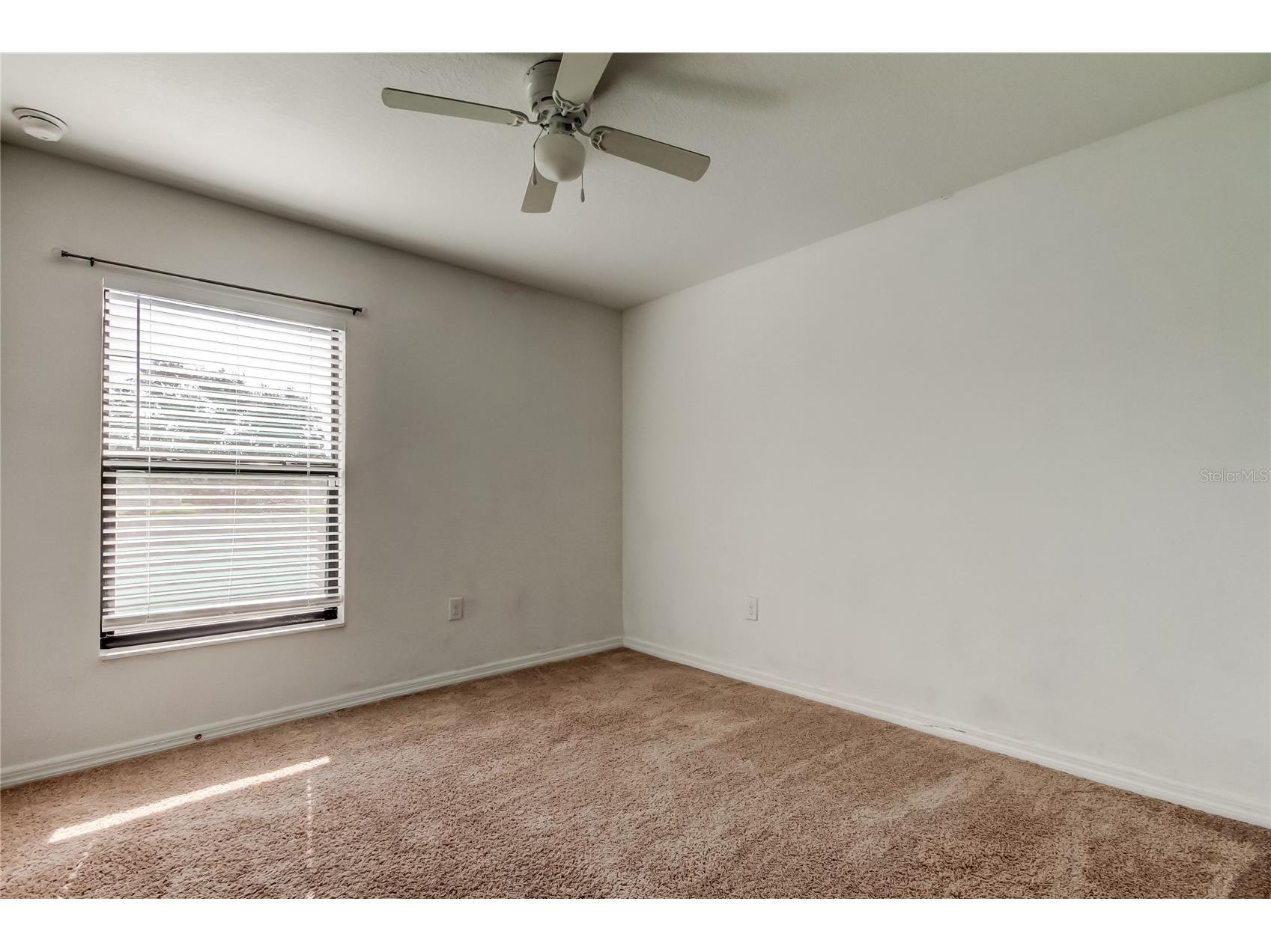 1739 Chatham Green Circle Ruskin FL 33570 TB8426439 image26