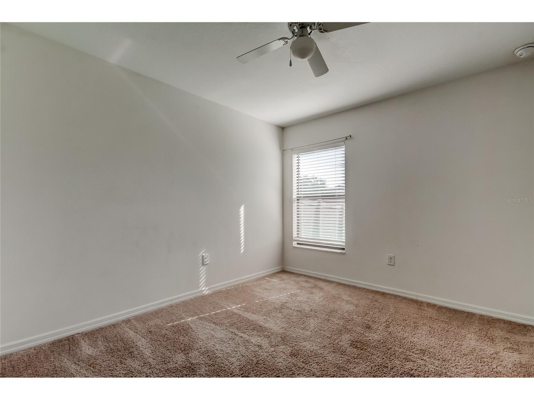 1739 Chatham Green Circle Ruskin FL 33570 TB8426439 image29