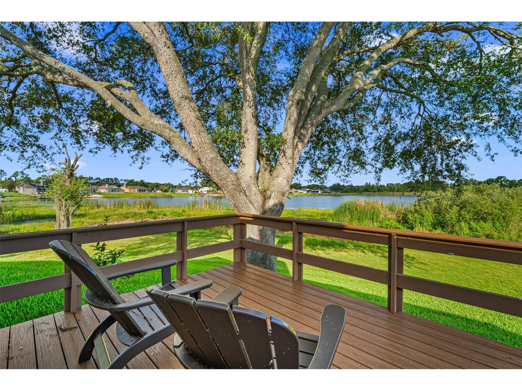 1739 Leichester Court Lutz FL 33549 TB8517981 image36