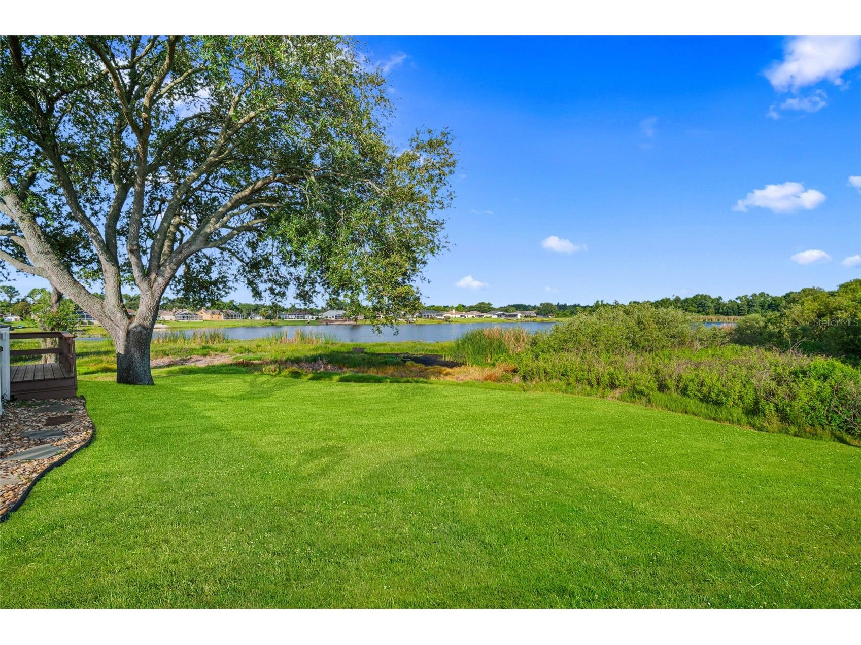 1739 Leichester Court Lutz FL 33549 TB8517981 image38