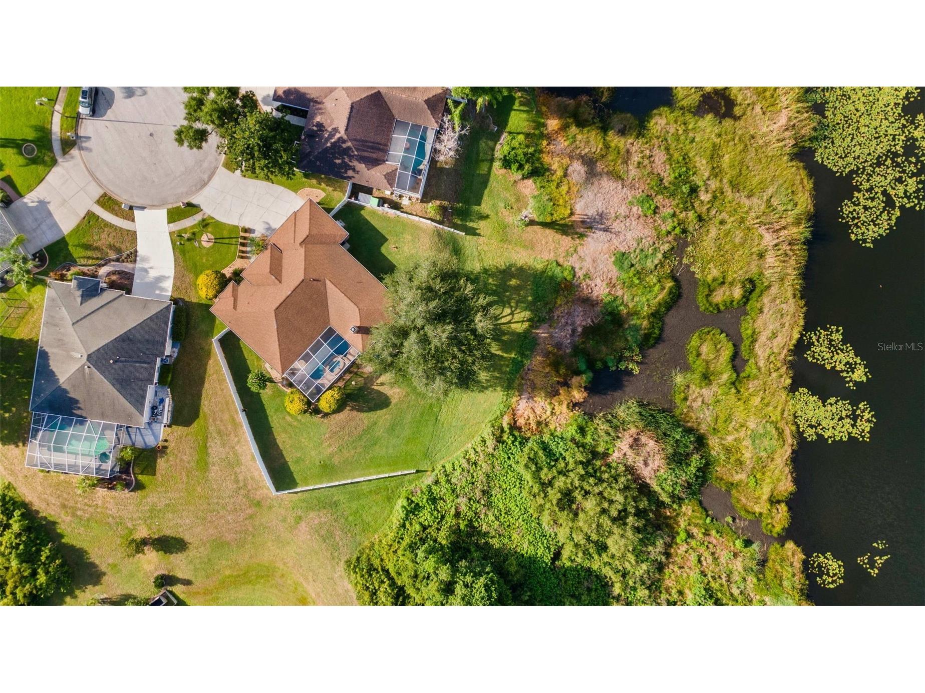 1739 Leichester Court Lutz FL 33549 TB8517981 image49